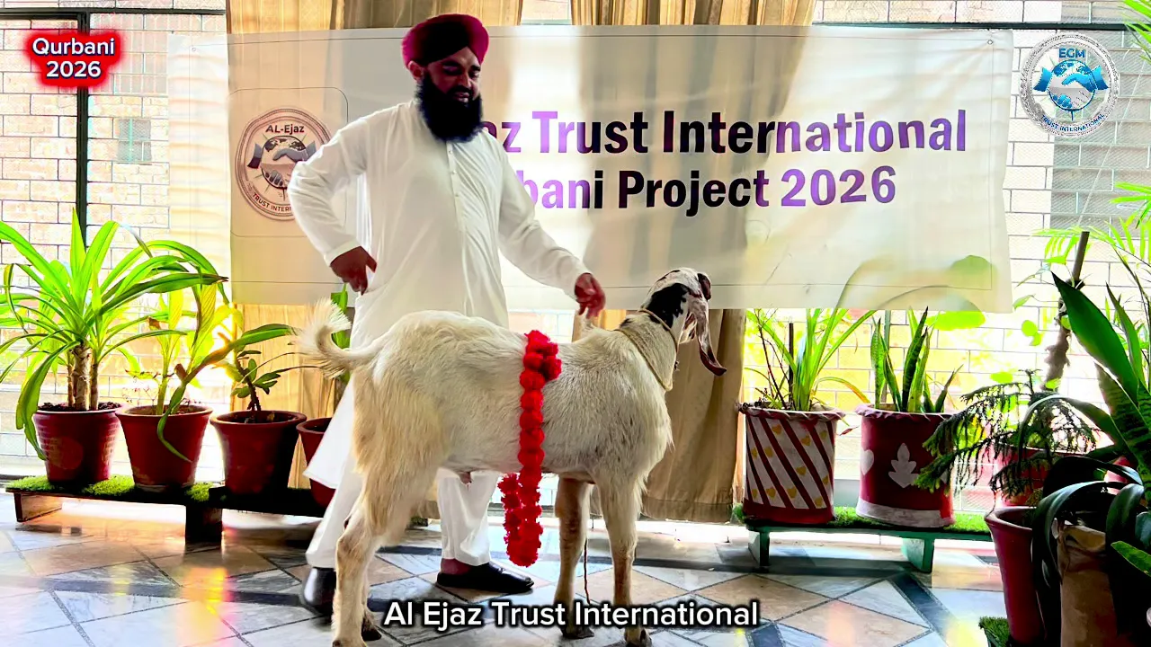 Qurbani Project 2026